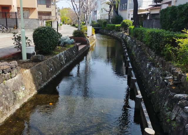 三島市の土地