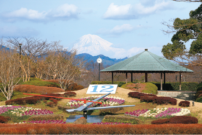 ハイツアオシマ 城北公園
