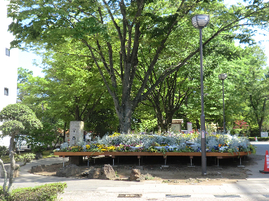 三島一番町ハイツ 楽寿館