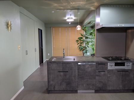 メゾン・グランツ静岡太田町セントラルアヴェニュー キッチンはグラフテクト、色はベトングレー