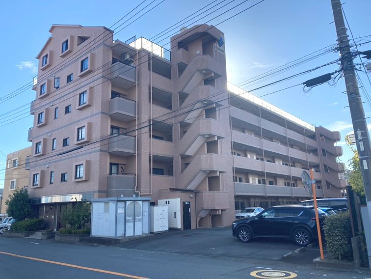 現地写真