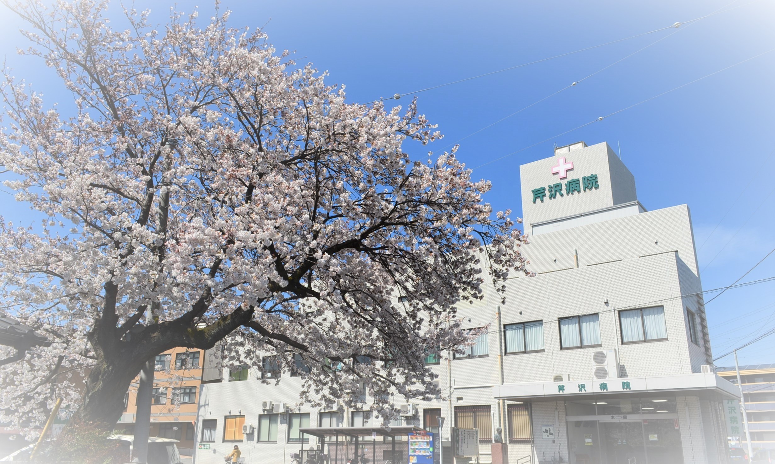 メゾン・グランツ三島幸原 芹沢病院