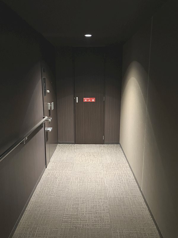 マークス・アネシスタワー草薙 現地写真（玄関）