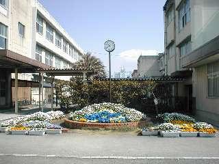 ウィスティリア中田  静岡市立中田小学校