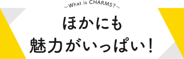 ほかにも魅力がいっぱい！